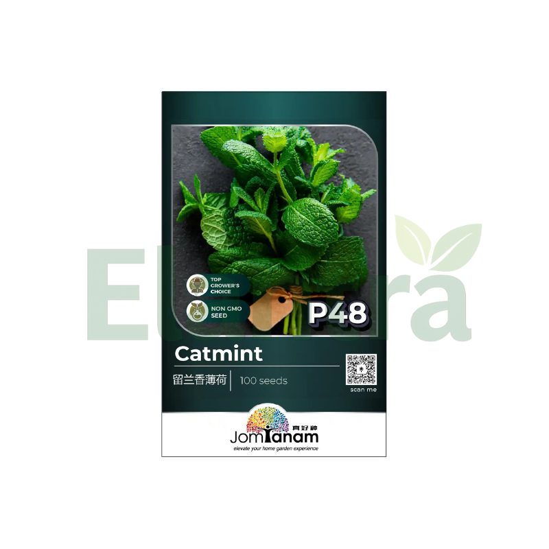 P48 CATMINT